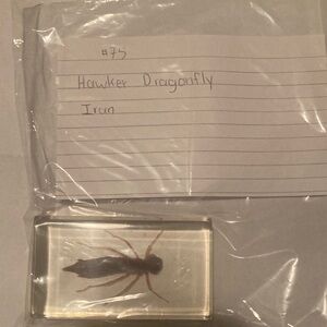 Hawker Dragonfly- Iran